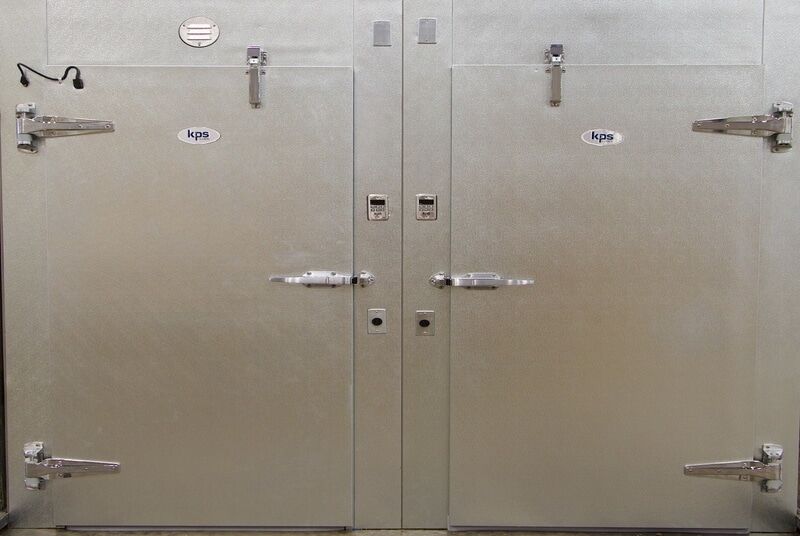 KPS Global Swing Doors