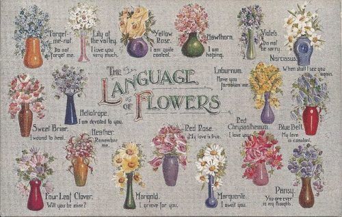 language of flowers