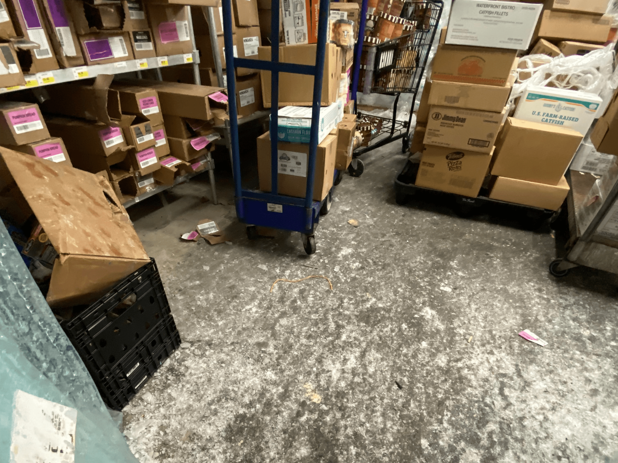 Dirty Walk-in flooring Needs Cleaning