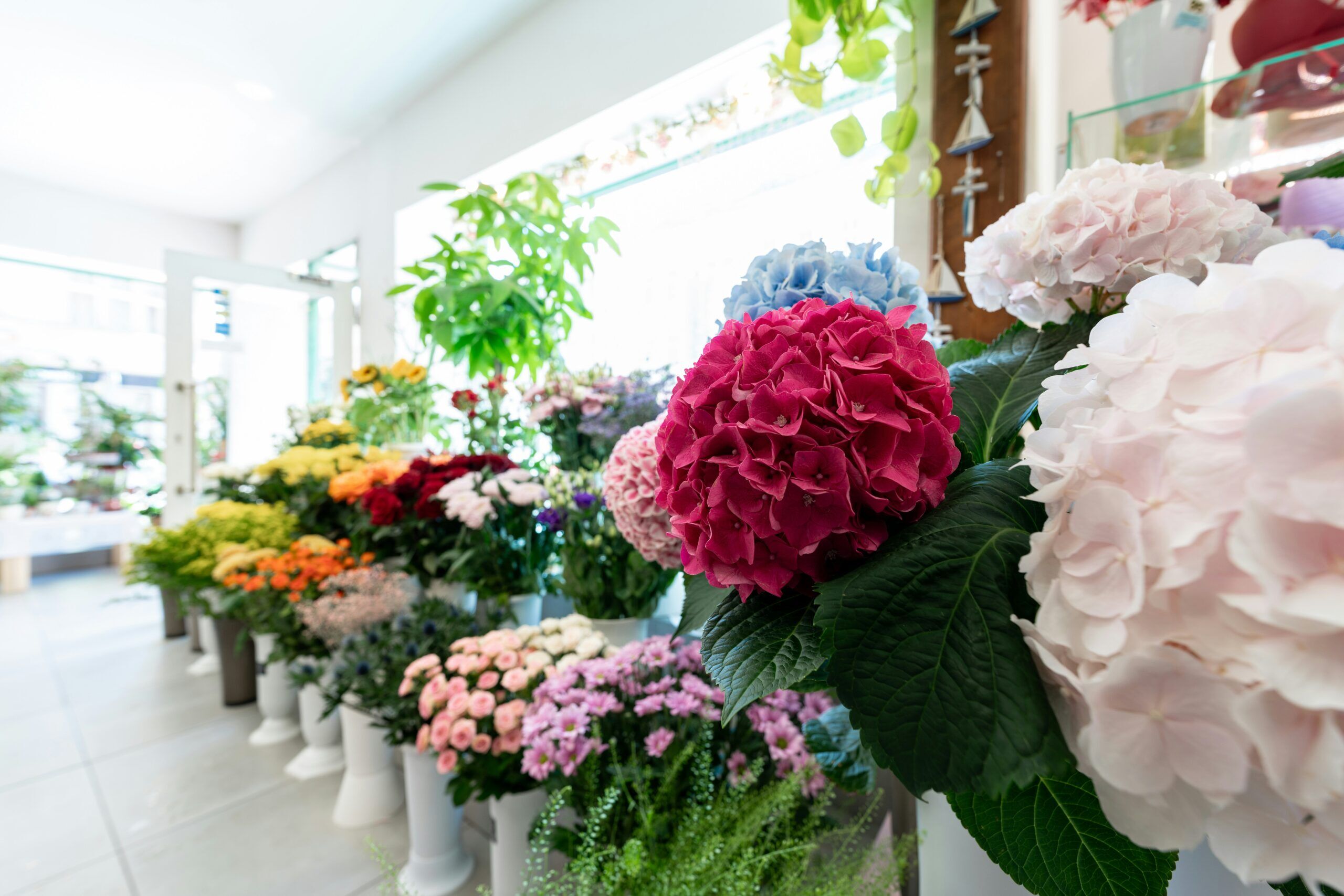 floral coolers and how they can be used