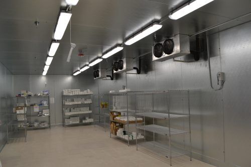 Vaccine Cold Storage